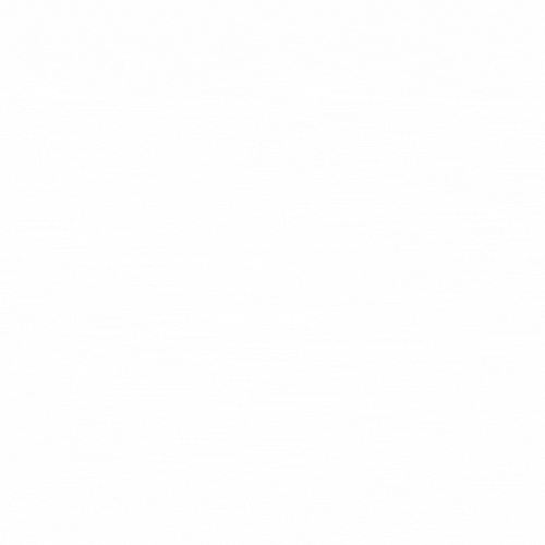 BoroPharm Inc.